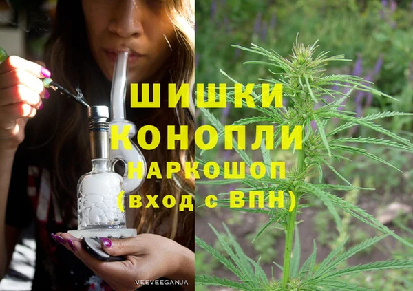 стаф Майский