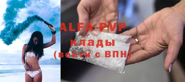 a pvp Магас