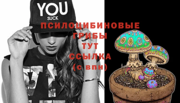стаф Майский