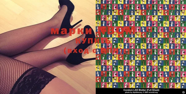 стаф Майский