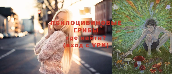 a pvp Магас