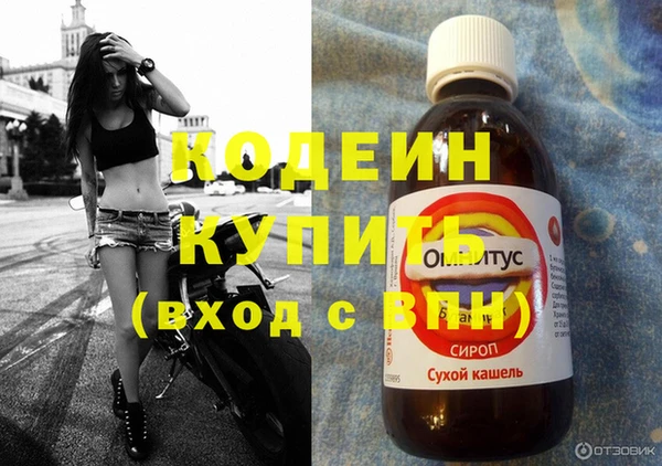 стаф Липки