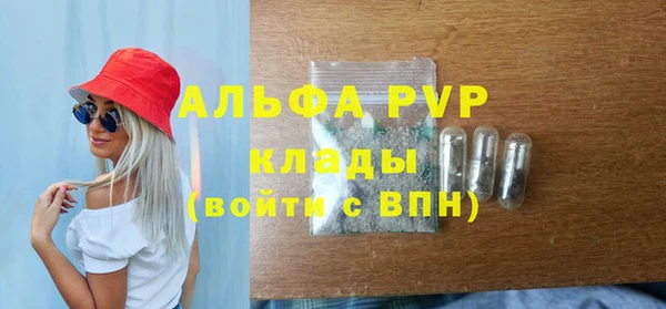 a pvp Магас
