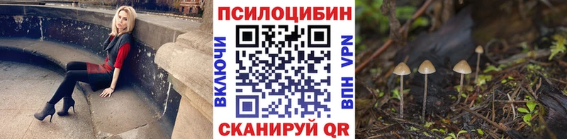 Псилоцибиновые грибы мухоморы  закладки  Магадан 