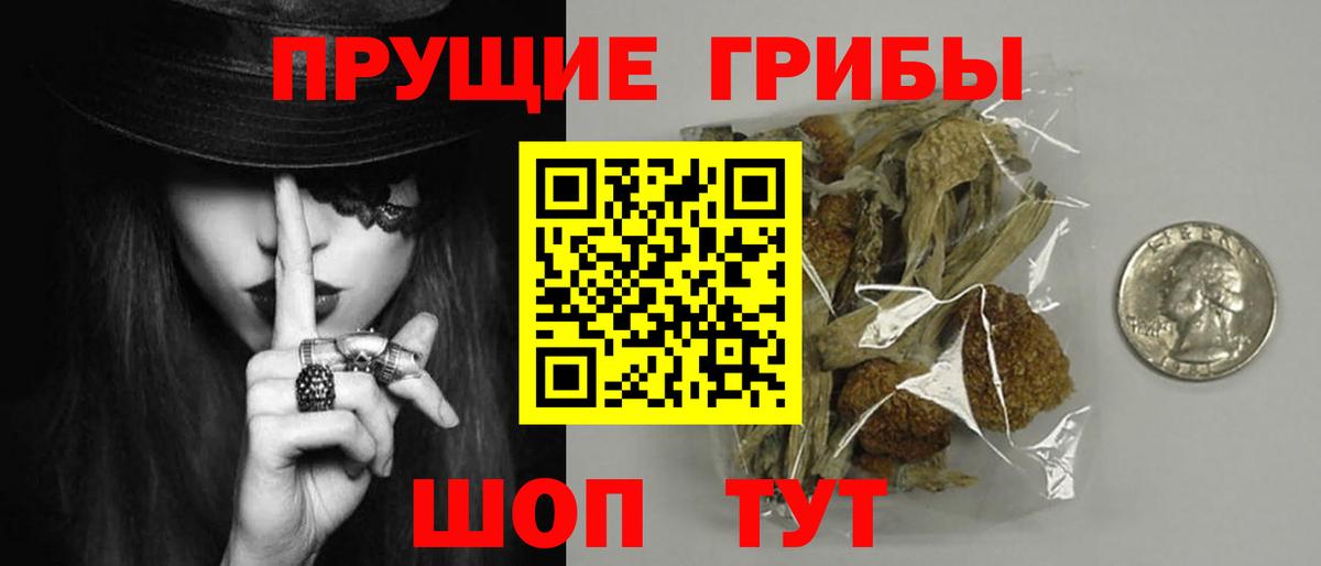 Псилоцибиновые грибы GOLDEN TEACHER Магадан